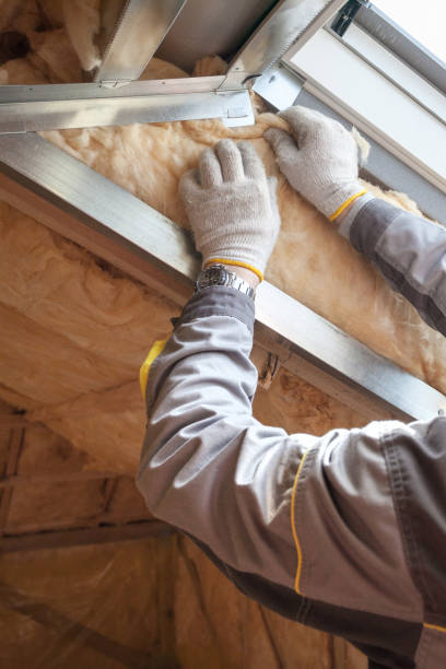 Types of Insulation We Offer in Brownsville, FL